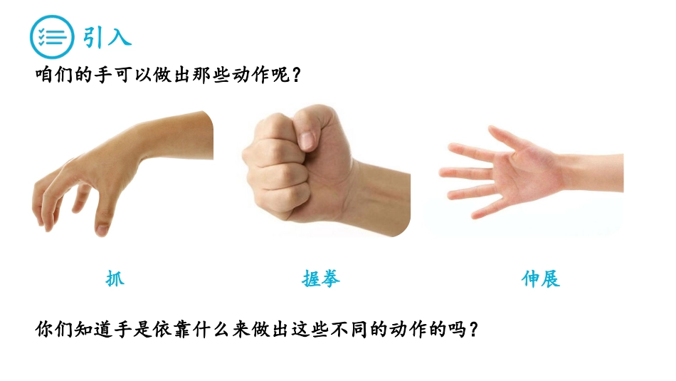 wedo课件机械假肢课件_第2页