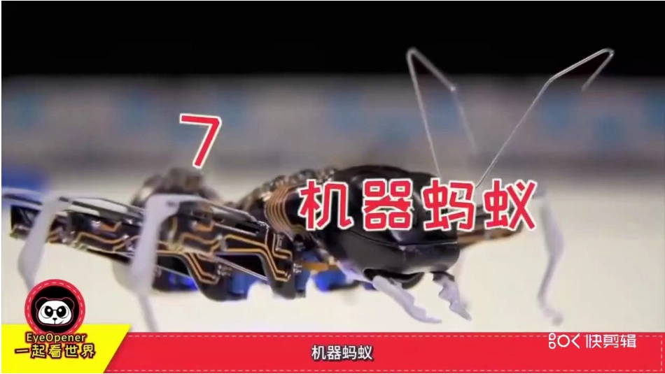 wedo课件蜘蛛机器人课件_第2页