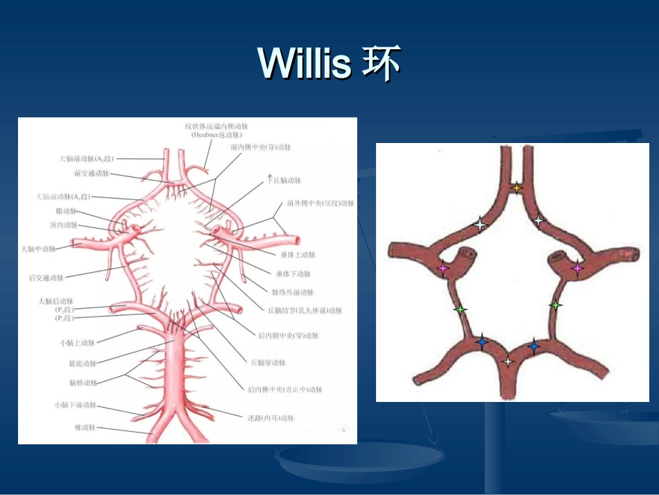 Willis环常见的血管变异及其临床相关_第3页