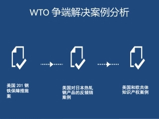 WTO争端解决案例分析