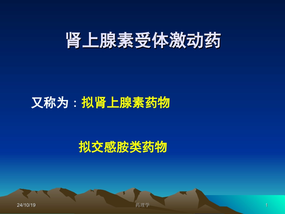 α受体激动药去甲肾上腺素_第1页