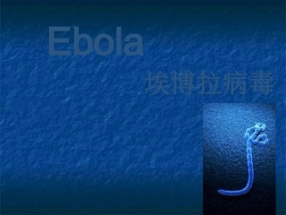 埃博拉病毒解析