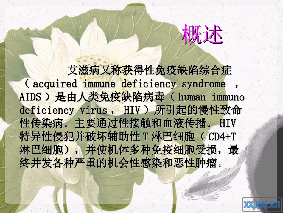 艾滋病患者的护理查房_第3页