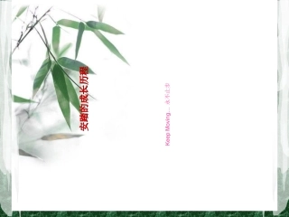 安踏的成长历程