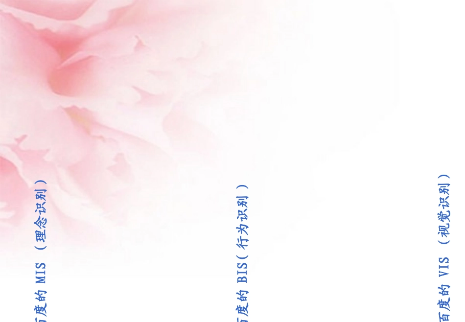 百度CIS案例分析_第2页