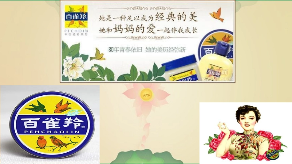 百雀羚企业文化_第3页