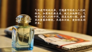 百雀羚企业文化