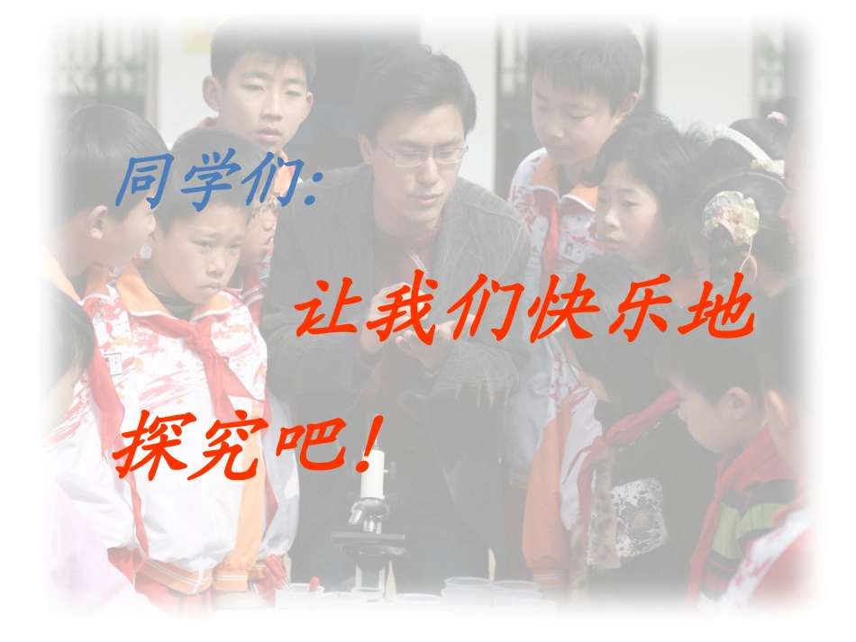 摆的研究课件_第1页