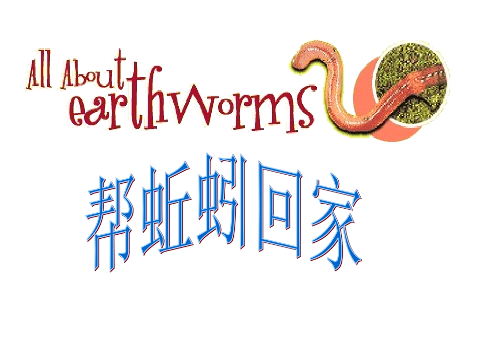 帮蚯蚓回家课件_第3页
