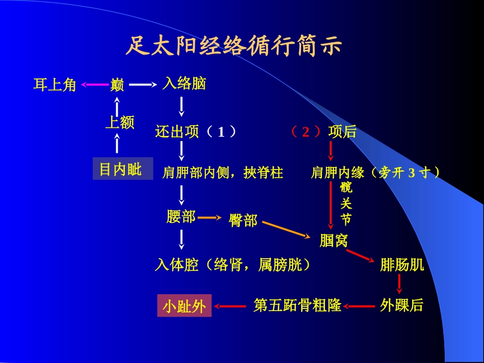 膀胱经中医课件_第3页