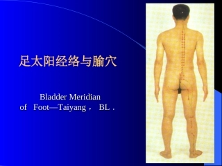 膀胱经中医课件
