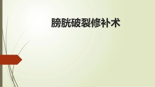 膀胱破裂修补术