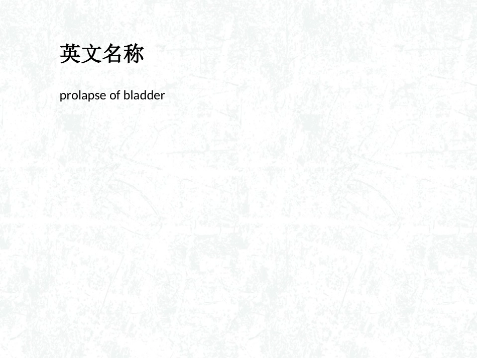 膀胱脱垂详解_第2页