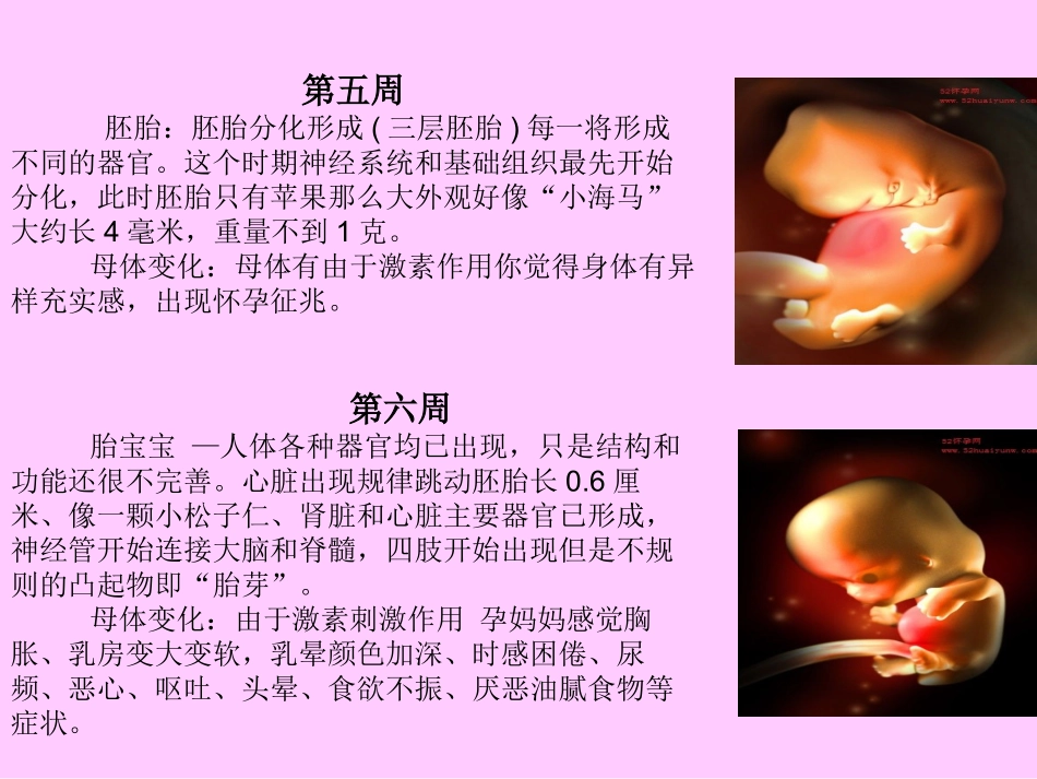 宝宝1-40周成长过程及胎教_第3页