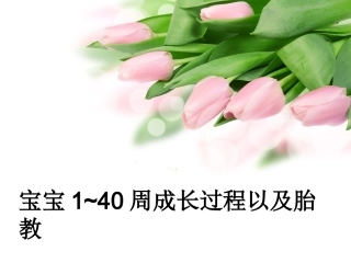 宝宝1-40周成长过程及胎教