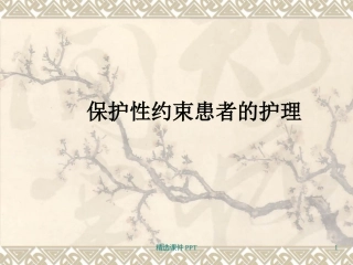 保护性约束患者的护理课件