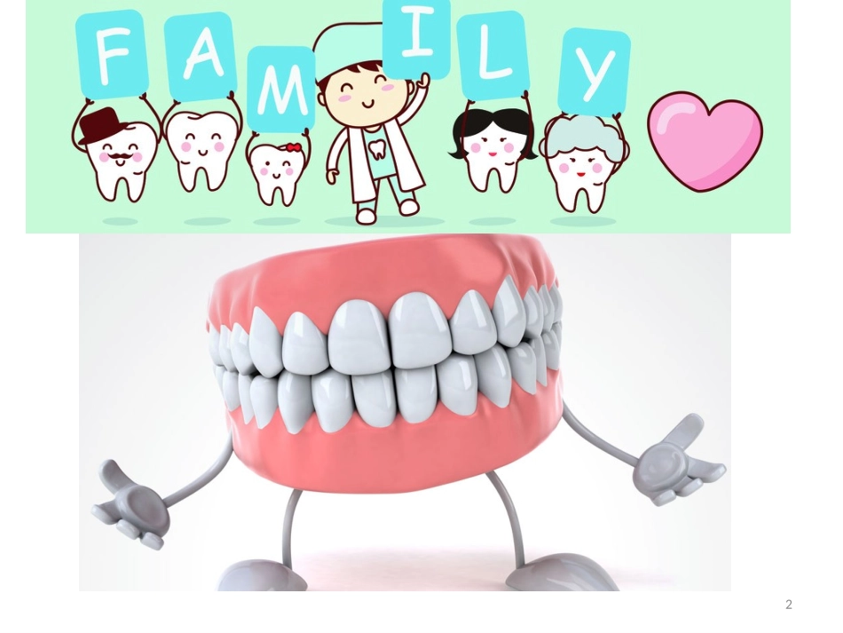 保护牙齿幼儿园课件_第2页
