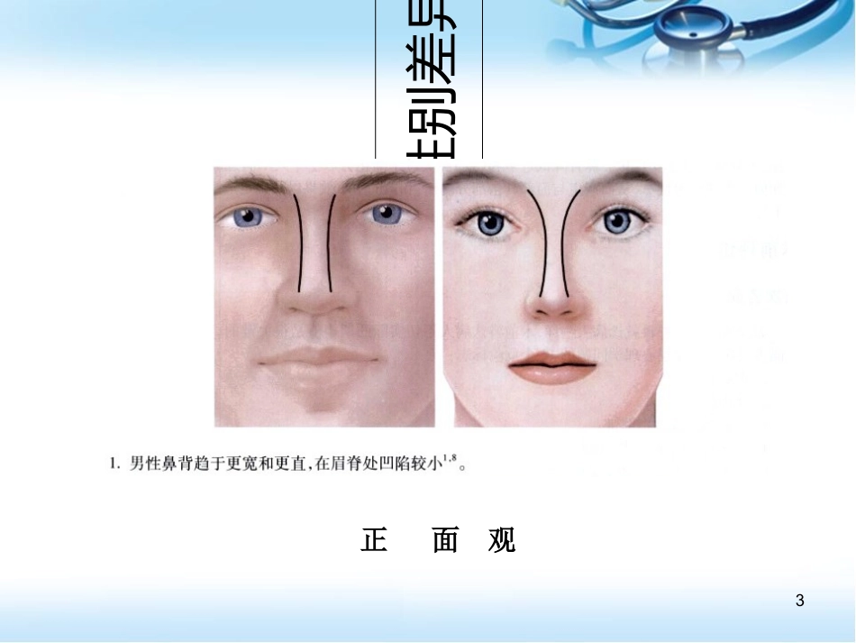 鼻部整形相关知识幻灯片课件_第3页