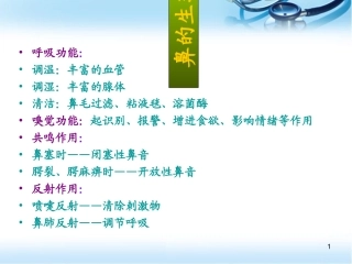 鼻部整形相关知识幻灯片课件