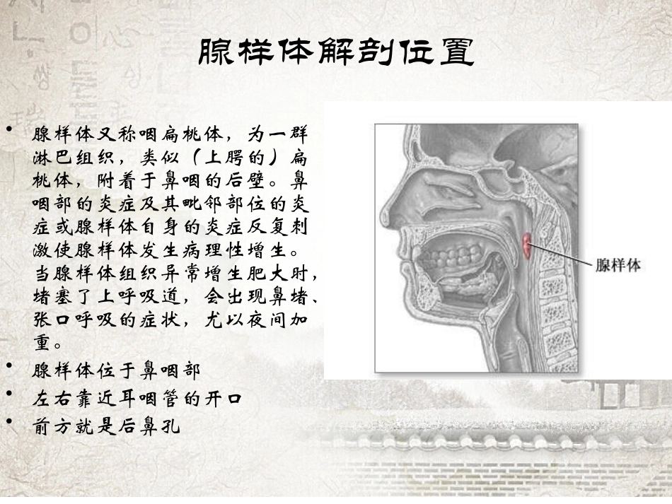 鼻动力系统下腺样体切除术_第2页