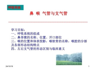 鼻喉气管和支气管