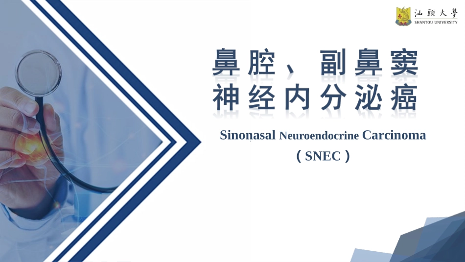 鼻神经内分泌癌_第1页