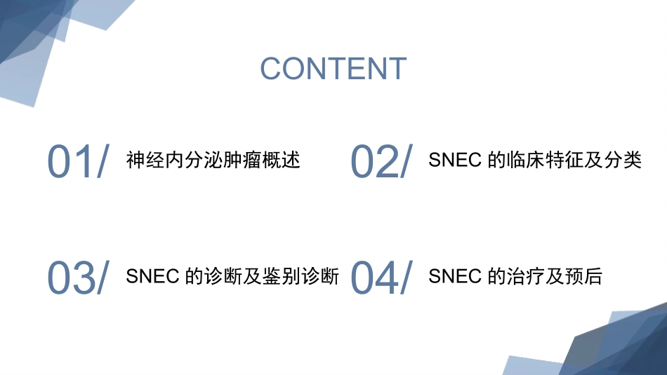 鼻神经内分泌癌_第2页