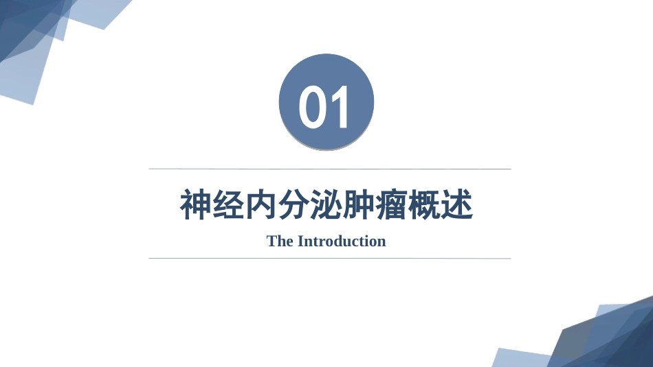 鼻神经内分泌癌_第3页