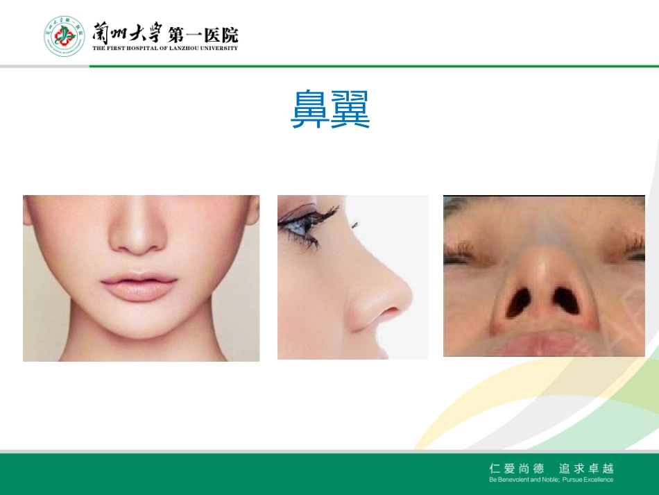鼻翼缺损修复_第3页