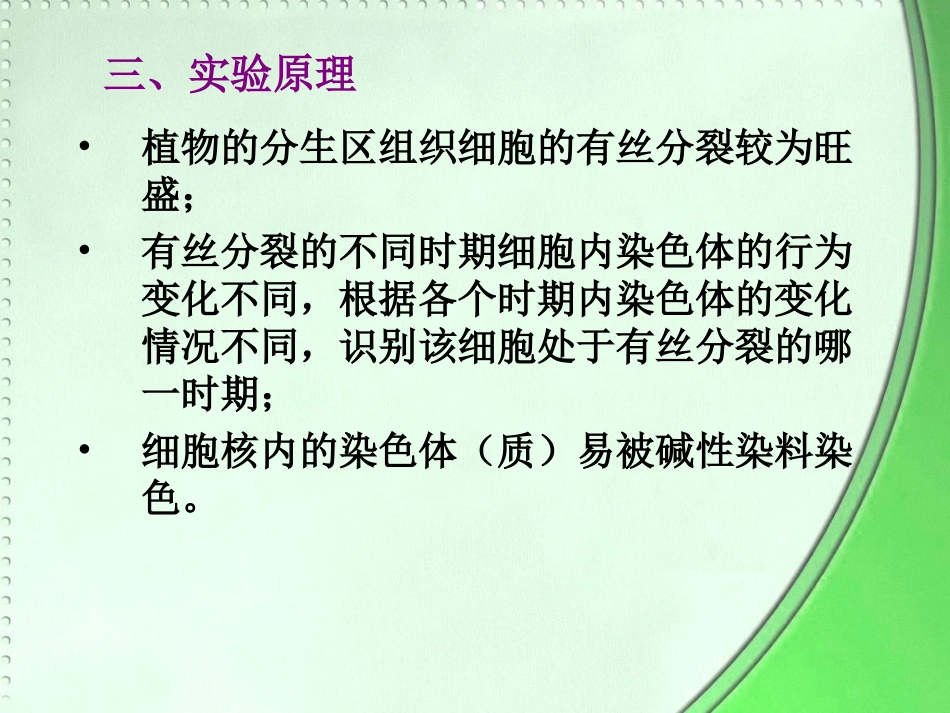 必修1观察洋葱根尖细胞有丝分裂_第3页