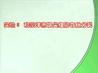 必修1观察洋葱根尖细胞有丝分裂