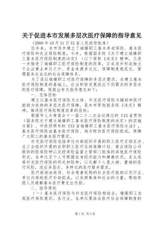 关于促进本市发展多层次医疗保障的指导意见
