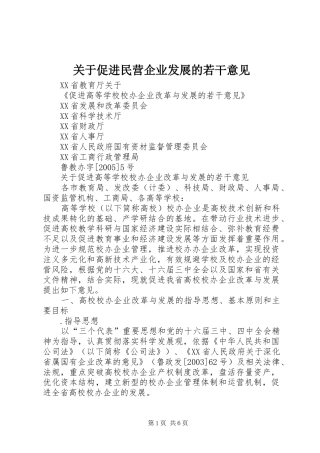 关于促进民营企业发展的若干意见