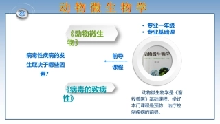病毒的致病性