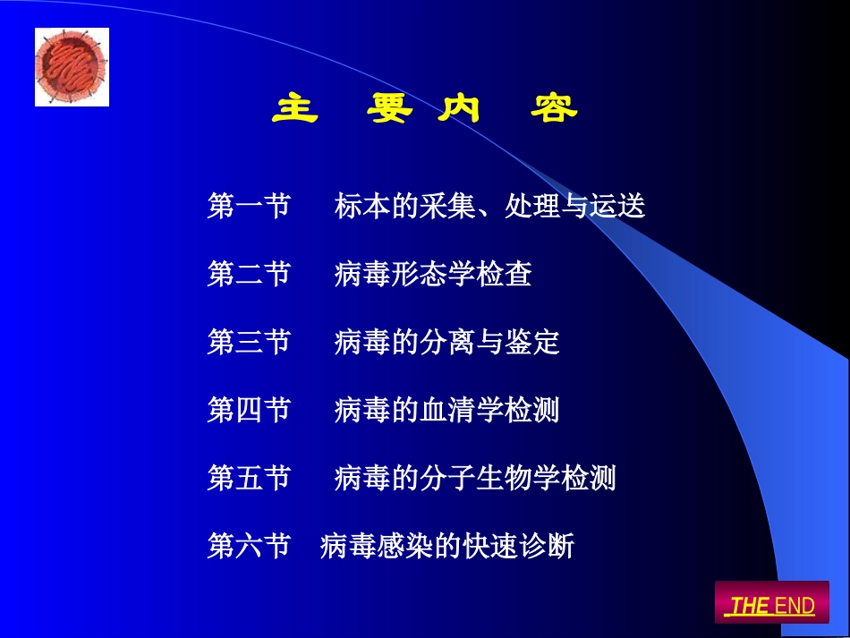 病毒感染的实验室_第2页