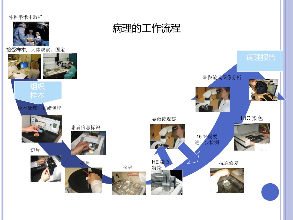病理工作流程_第2页