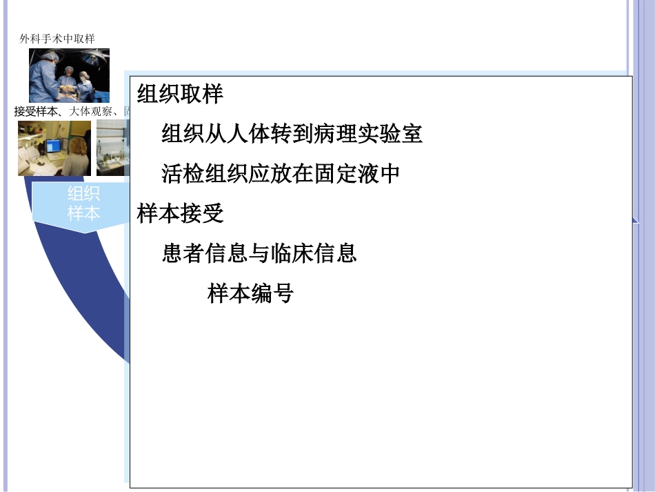 病理工作流程_第3页