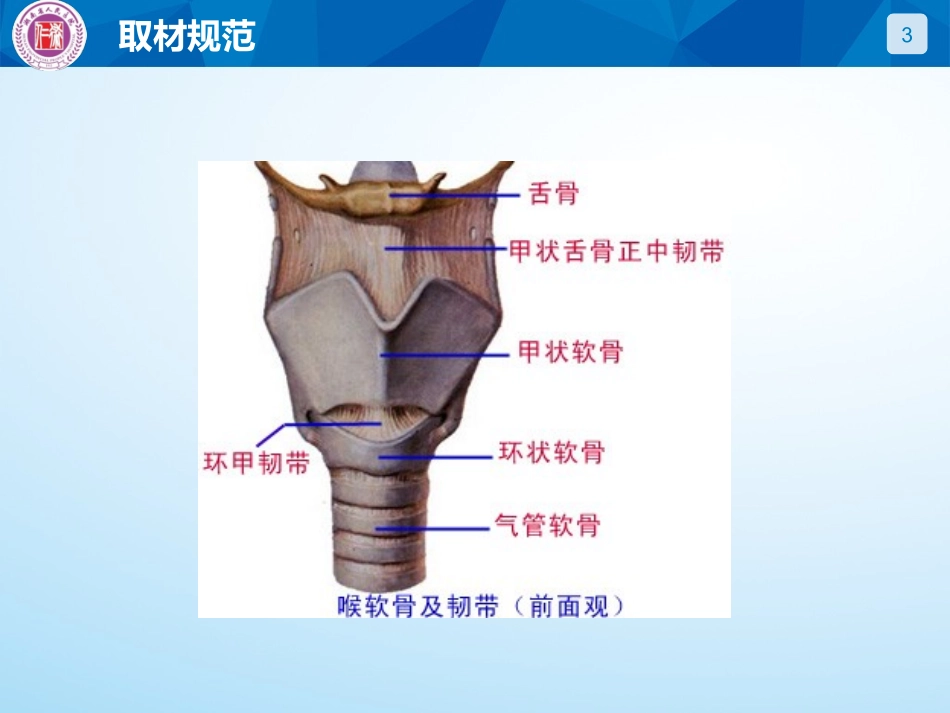 病理学取材规范喉肺甲状腺_第3页