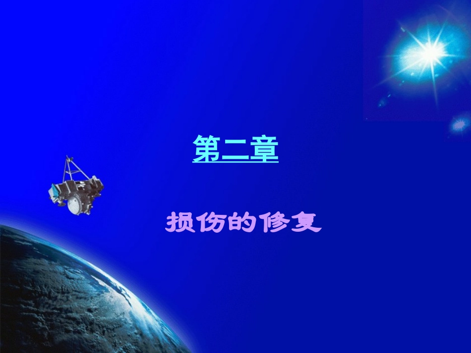 病理学损伤修复_第1页