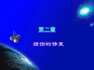 病理学损伤修复