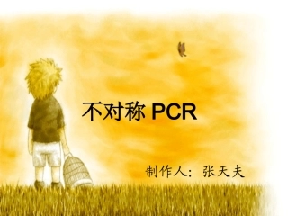 不对称PCR