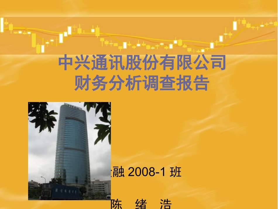 财务分析调查报告_第1页