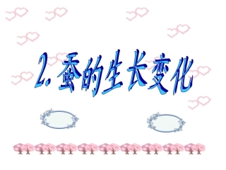 蚕的生长变化