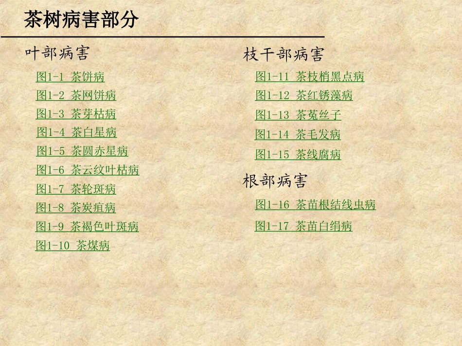 茶树病虫防治学病_第2页
