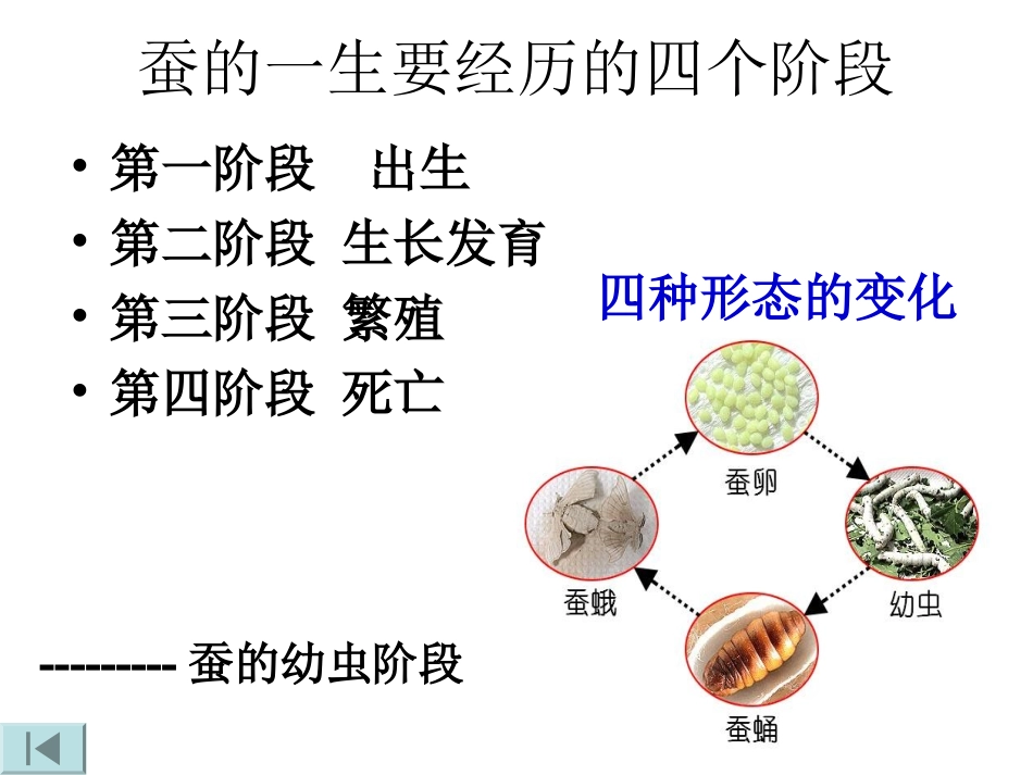 蝉的生长变化详解_第2页