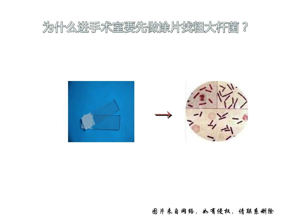 产气荚膜梭菌_第3页