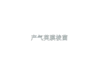 产气荚膜梭菌