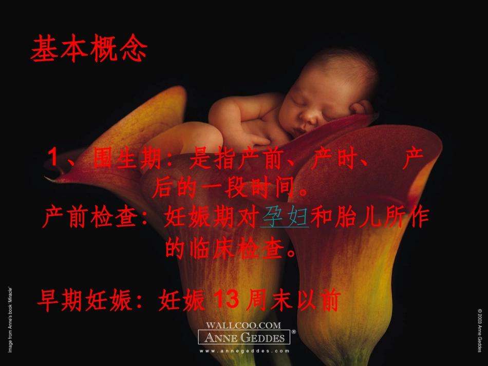 产前检查项目及其重要性_第3页