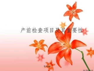 产前检查项目及其重要性