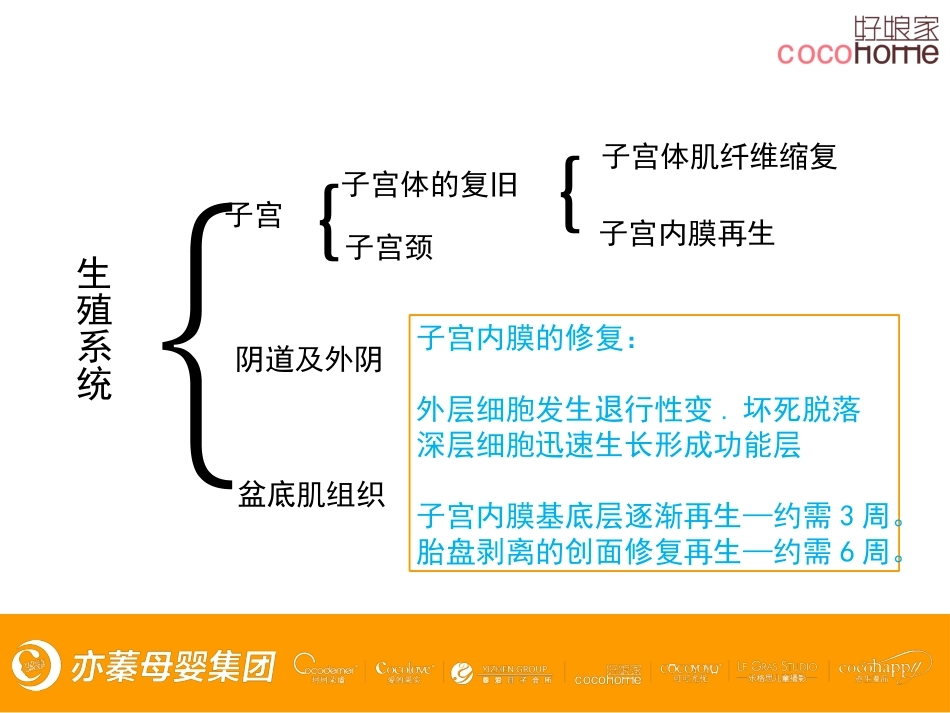 产褥期身体变化特点_第3页